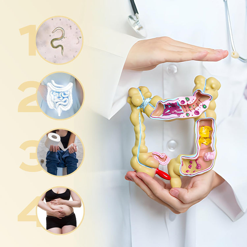 Bromelain Sirup Zühre Ana